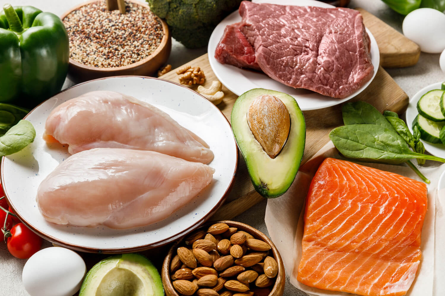 what is the high protein diet